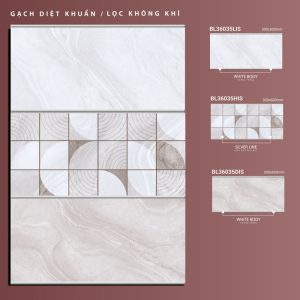 BL36035Lis-BL36035His-BL36035Dis