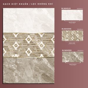 BL36042Lis-BL36042His-BL36042dis