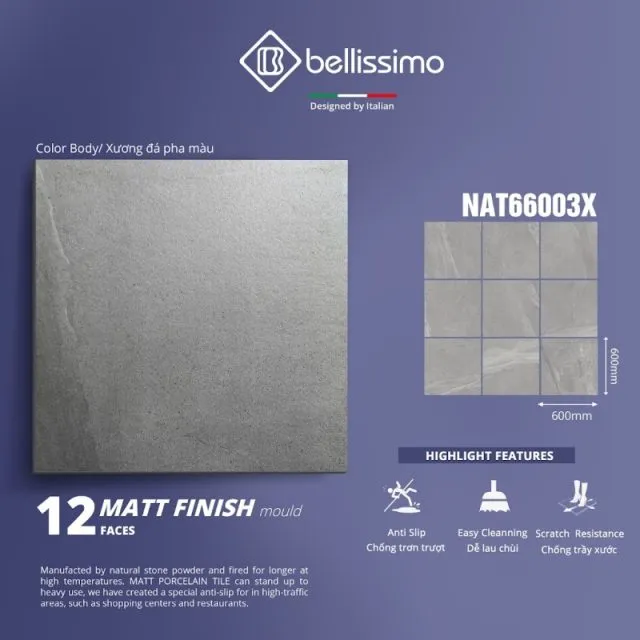 NAT66003X