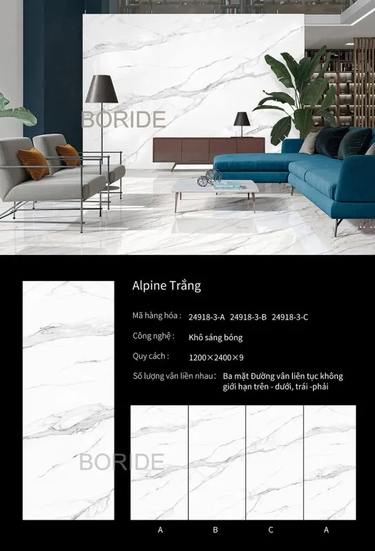 boride 24918