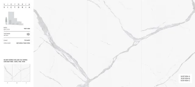 BJS91804