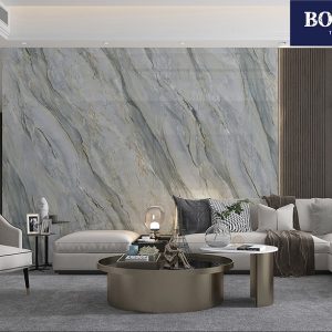BJS826971