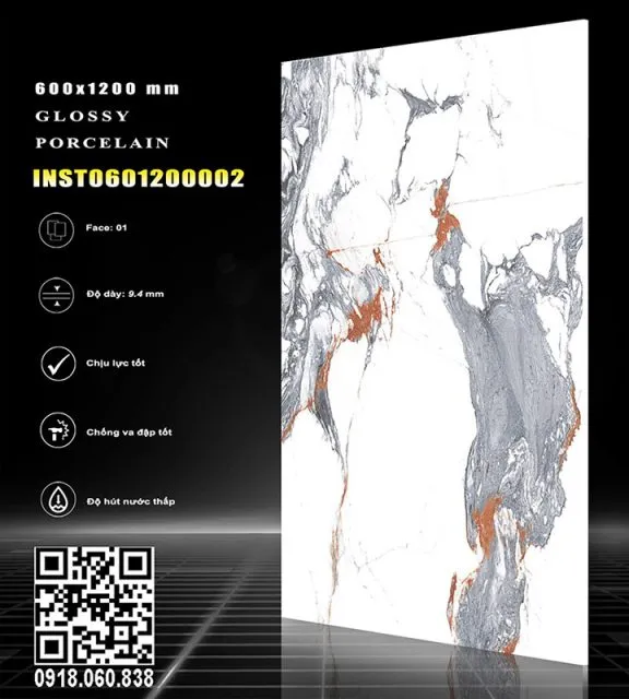 INST0601200002