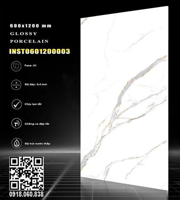 INST0601200003