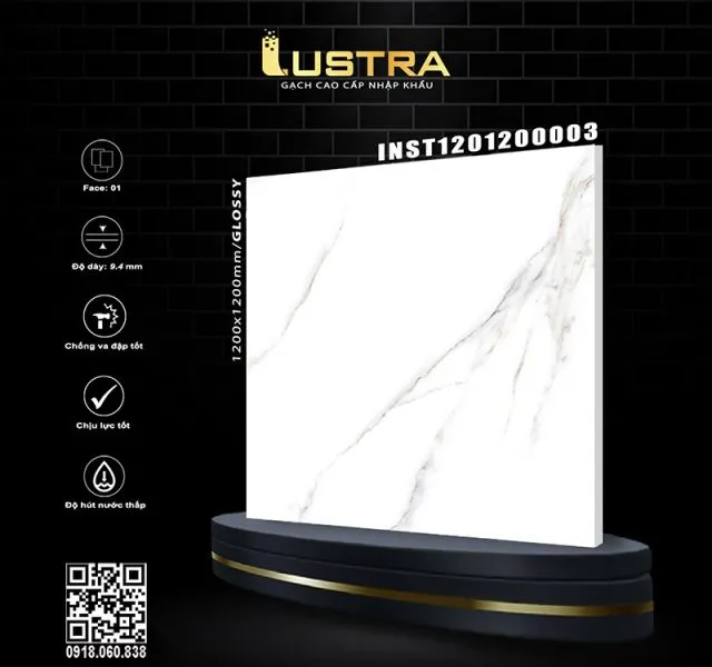 INST1201200003