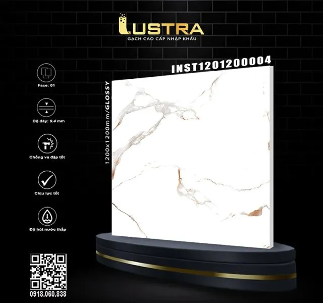 INST1201200004