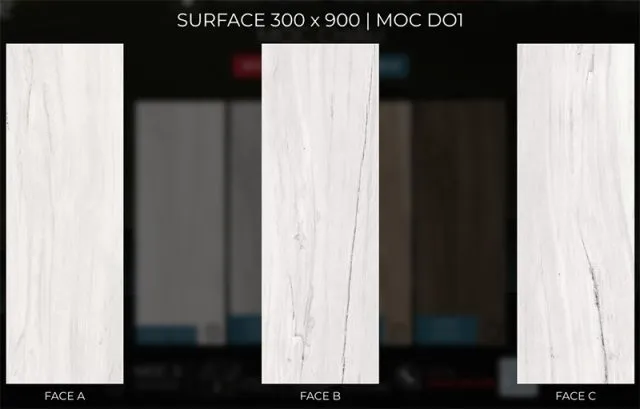MOC D01