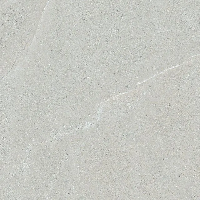 NGC-H02