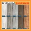 eurotile BST MOC LAN mol I