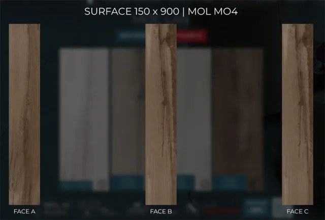 mol m04