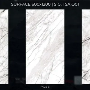 Eurotile SIG-TSA Q01