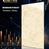 INEMB0601200037