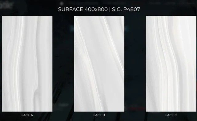 SIG P4807