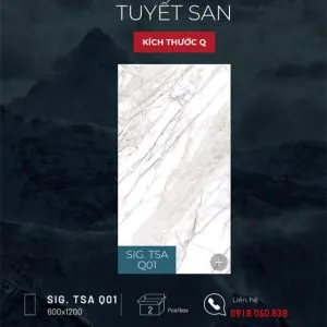Eurotile SIG-TSA Q01