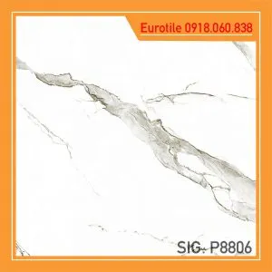 chieu phong SIG-P8806
