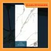 chieu phong sig p4806