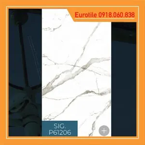 chieu phong sig p61206