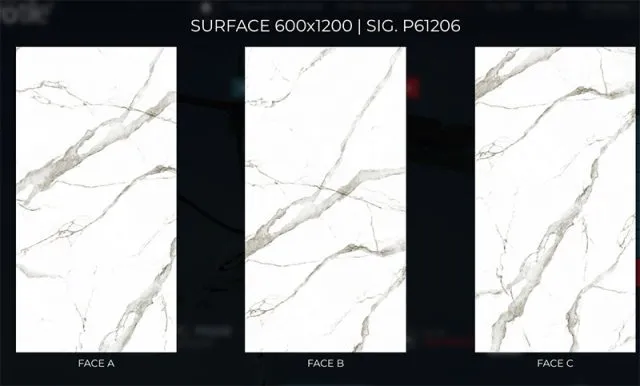 face chieu phong sig p61206