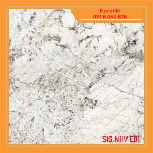 sig-nhv e01