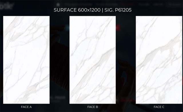 thuy phong face sig p61205