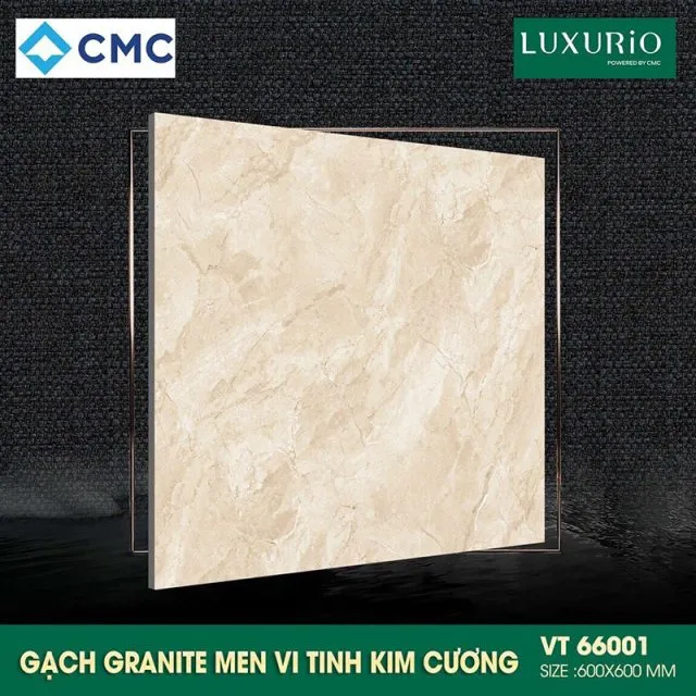 CMC VT66001