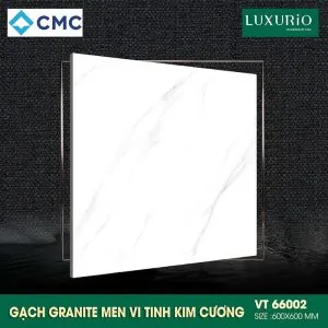 CMC VT66002