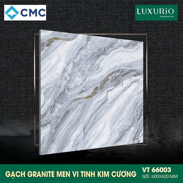 CMC VT66003