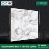 CMC VT66004