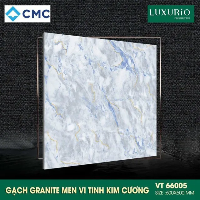 CMC VT66005
