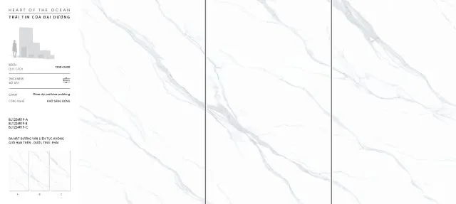 BL1224R19
