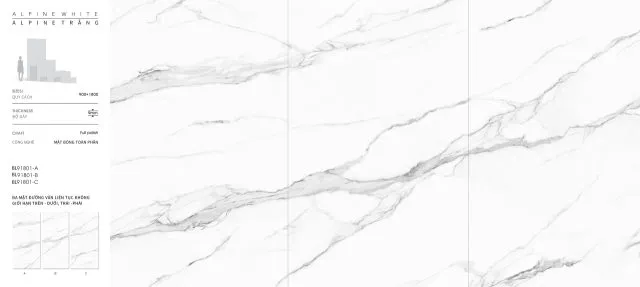 BL91801