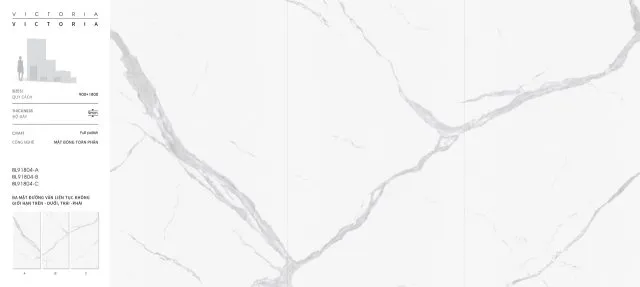 BL91804