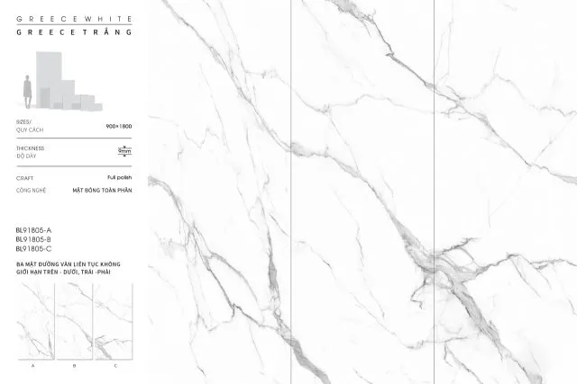BL91805