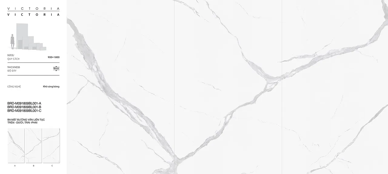BRD-M091809BL001 BRD-M091809BL001