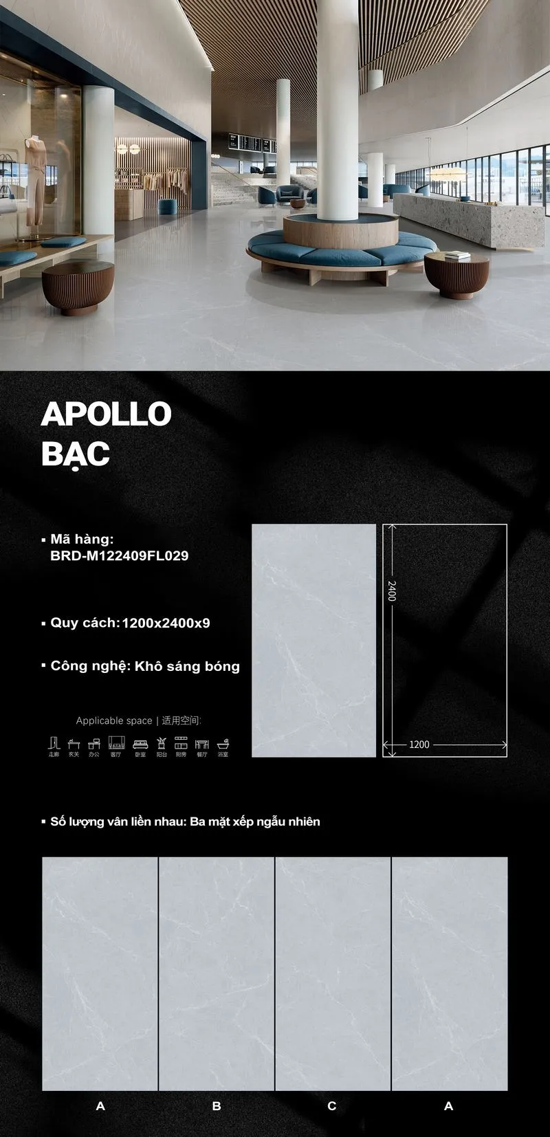 Apollo Bạc M122409FL029