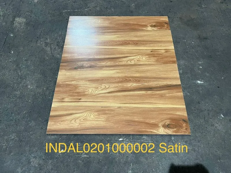 INDAL0201000002