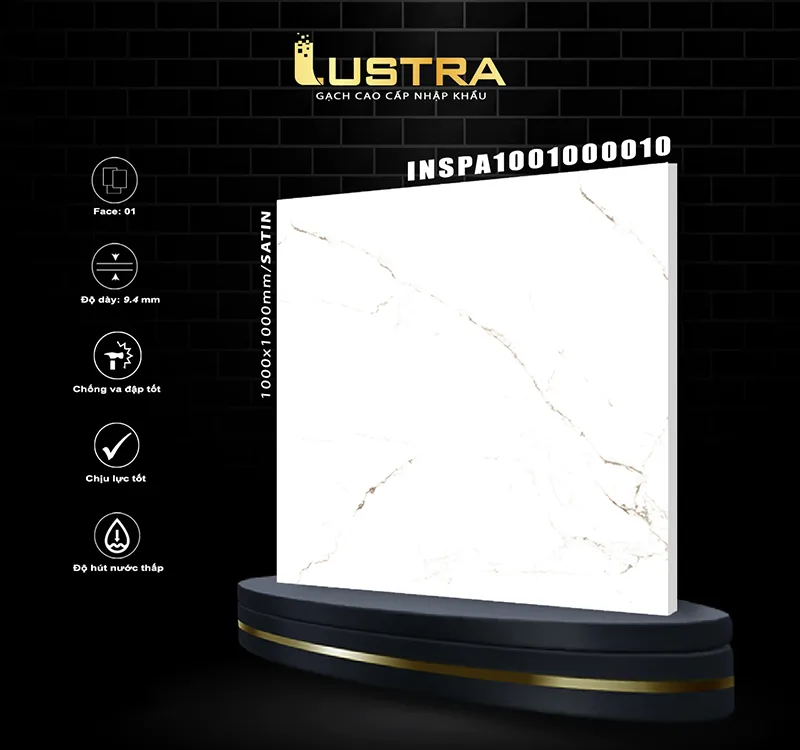 INSPA1001000010 INSPA1001000010