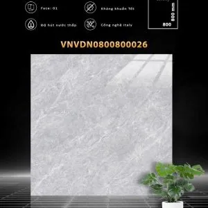 VDN0800800026