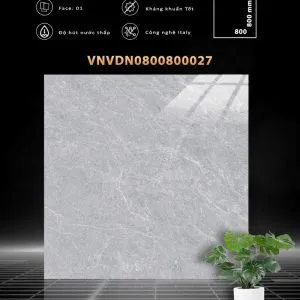 VDN0800800027