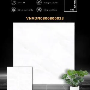 VDN0800800023