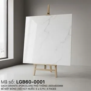 LGB60-0001