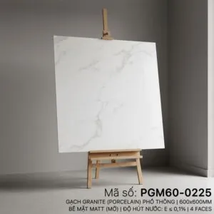 PGM60-0225