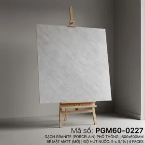 PGM60-0227
