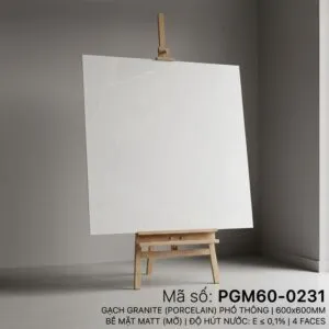 PGM60-0231