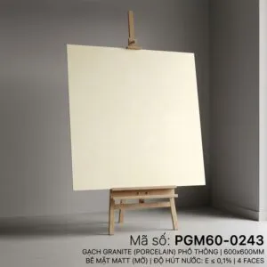 PGM60-0243