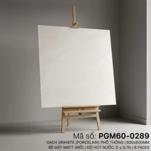 PGM60-0289