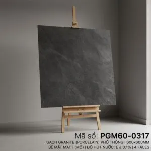 PGM60-0317