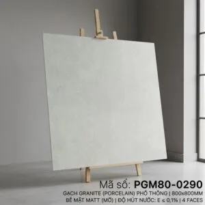 PGM80-0290